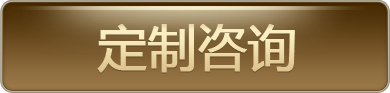 咨询定制